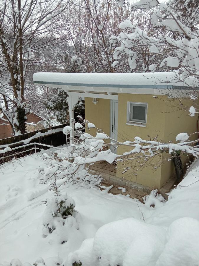 The Bungalow 布拉索夫 外观 照片